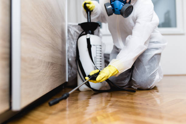 Best Pest Control Cost  in Ol, LA