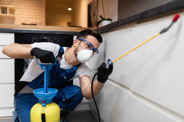Best Cockroach Control Services  in Ol, LA