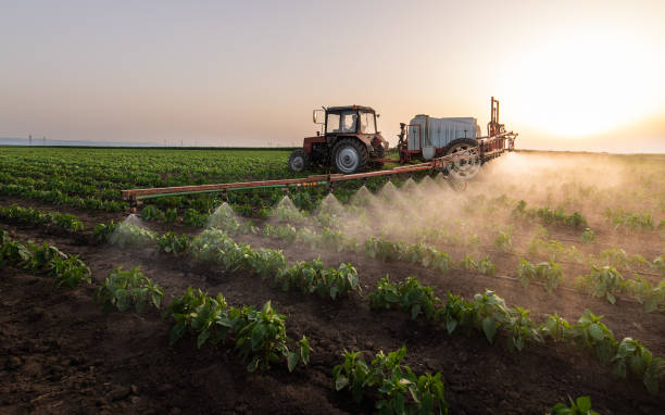 Best Mosquito Control Services  in Ol, LA