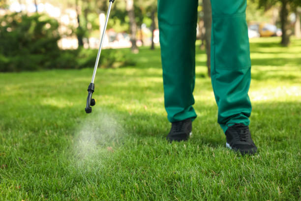 Best Termite Control Services  in Ol, LA