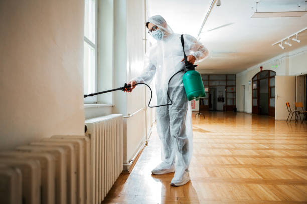 Best Best Pest Control Companies  in Ol, LA