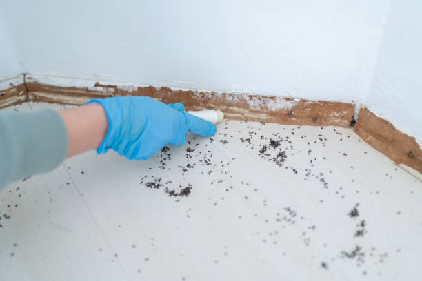 Pest Control Cost in Olla, LA
